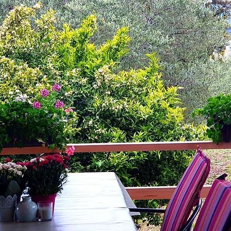 Apartman Rabatin Sveti Filip i Jakov Exterior foto
