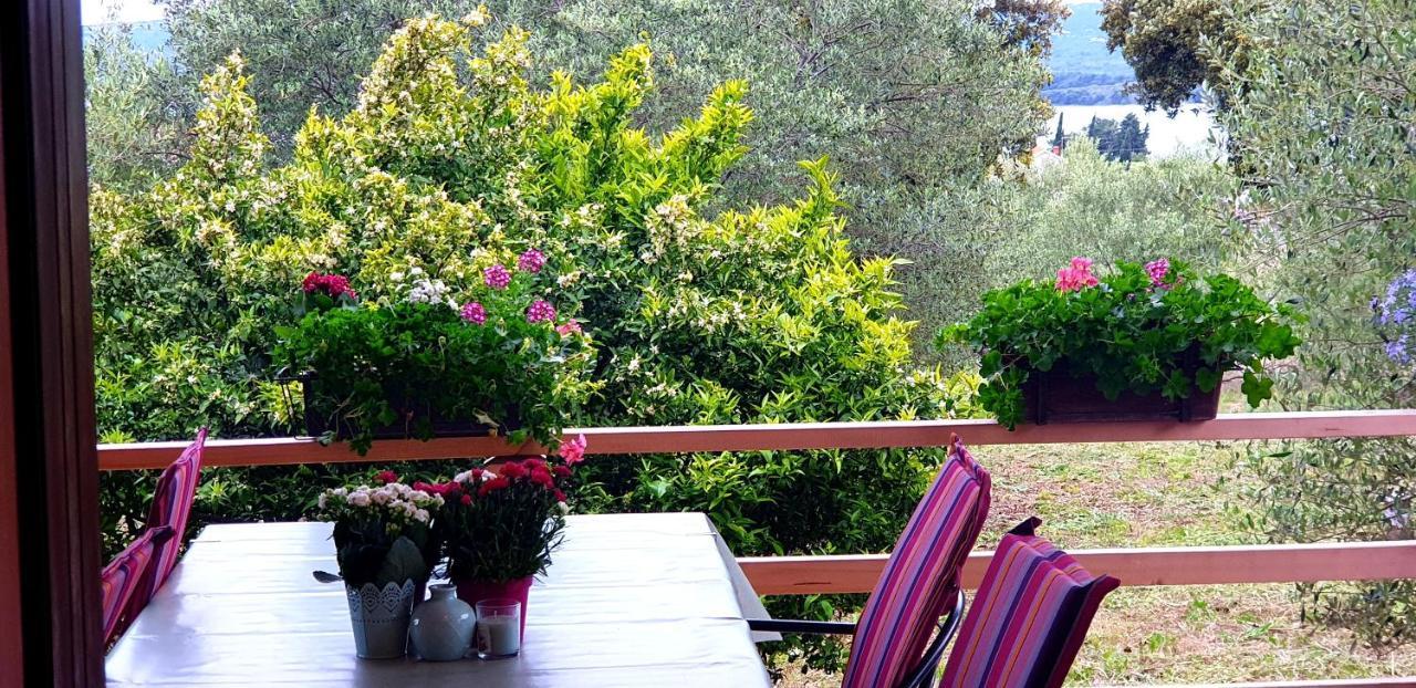 Apartman Rabatin Sveti Filip i Jakov Exterior foto